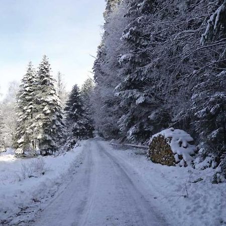 Gite Hansel De La Ferme Du Schneeberg Wangenbourg-Engenthal Exterior foto