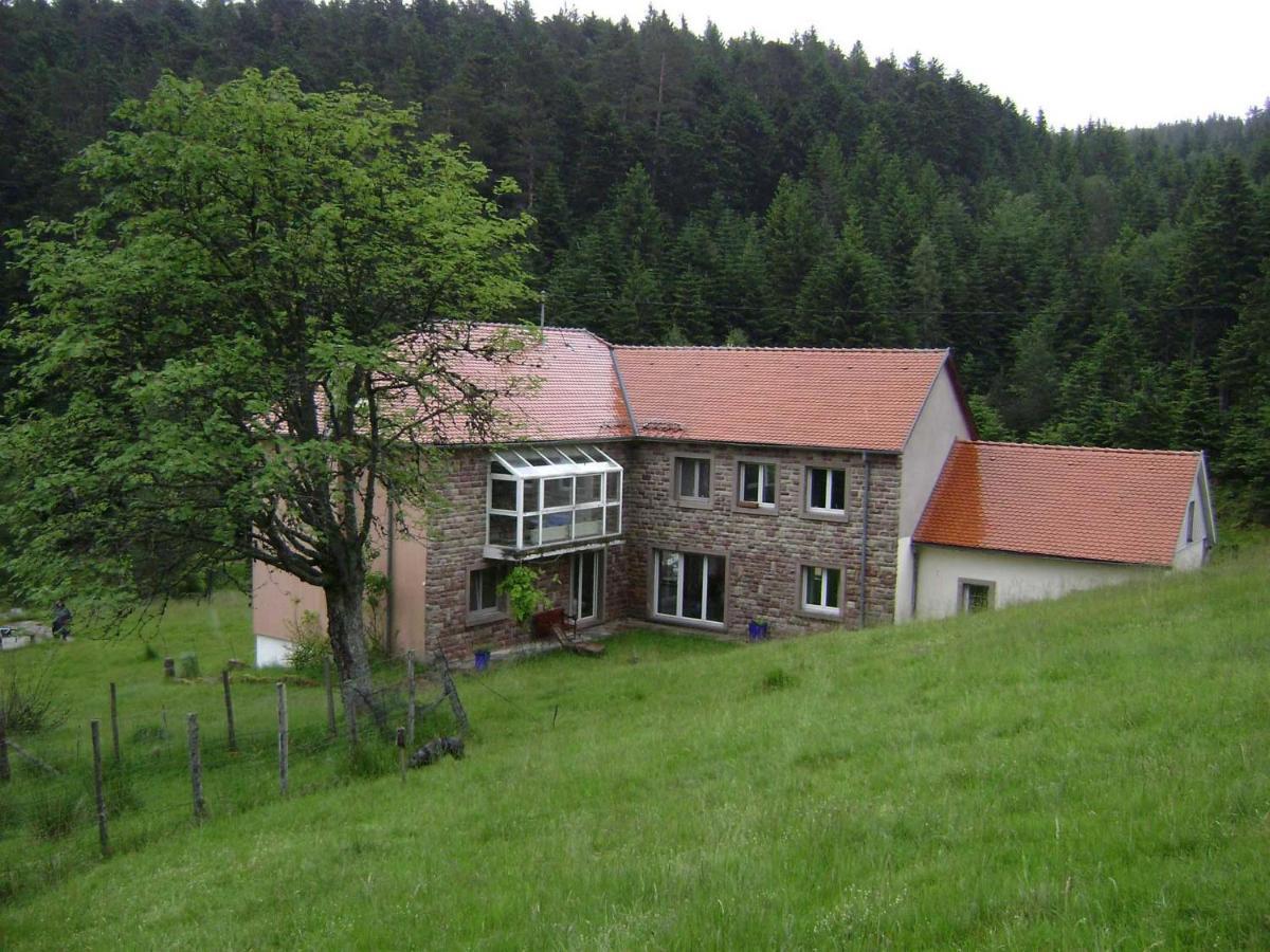 Gite Hansel De La Ferme Du Schneeberg Wangenbourg-Engenthal Exterior foto