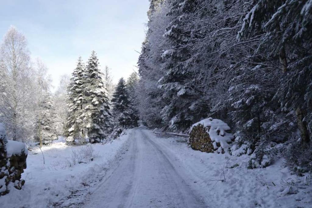 Gite Hansel De La Ferme Du Schneeberg Wangenbourg-Engenthal Exterior foto