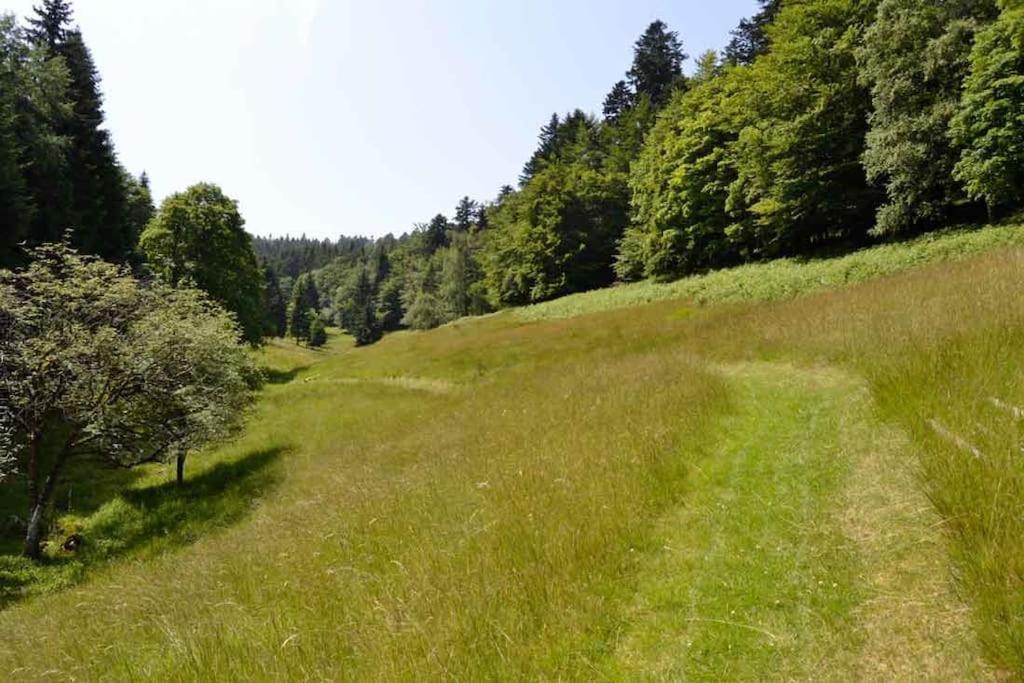 Gite Hansel De La Ferme Du Schneeberg Wangenbourg-Engenthal Exterior foto