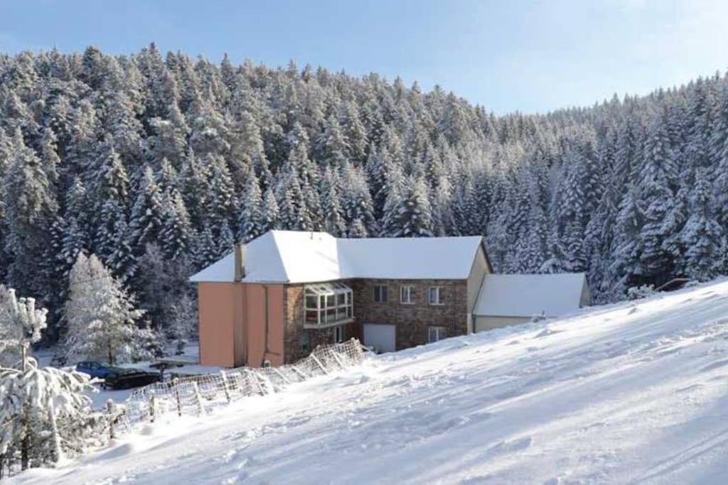 Gite Hansel De La Ferme Du Schneeberg Wangenbourg-Engenthal Exterior foto