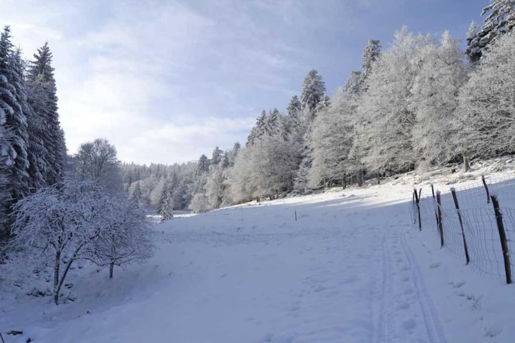 Gite Hansel De La Ferme Du Schneeberg Wangenbourg-Engenthal Exterior foto